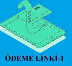 Ödeme Linki-1