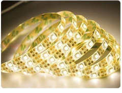 Cata 10 Çip İç Mekan Led Şerit CT-4481 Günışığı