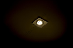 Cata Cam Spot Sardunya Ct-6556
